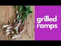 Ramps (the Wild Onion) harvested in spring & how to prepare