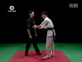 【自學入門】 廣州岑能詠春拳阮奇山李志河教学 yuen kay shan wing chun quan vcd