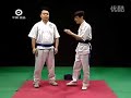 【自學入門】 廣州岑能詠春拳阮奇山李志河教学 yuen kay shan wing chun quan vcd