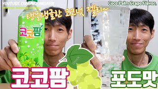 ASMR 코코팜 청포도맛 코코넛 젤리가 가득 드링킹 먹방Cocopam green grape flavor coconut jelly Eating Drinking show mukbang