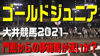 ゴールドジュニア【大井競馬2021予想】今年は１２００M戦で行われる南関２歳スプリント重賞