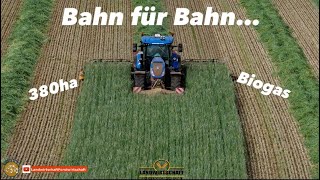 Bahn für Bahn... 380ha Roggen mähen zur Energie Gewinnung ( Biogas ) Grünlandernte Landwirtschaft