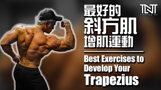 最有效的斜方肌锻炼方式 | Effective Exercises to Develop Trapezius | Terrence Teo