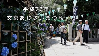 【平成27年 文京あじさいまつり 白山神社】 Hydrangea Festival 2015-6-10