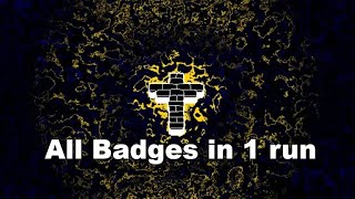 Roblox Grace. All Badges in 1 run