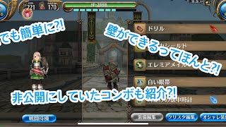 【トーラムオンライン】誰でも簡単に壁が出来る装備！？今まで非公開にしていた壁のコンボが公開?!