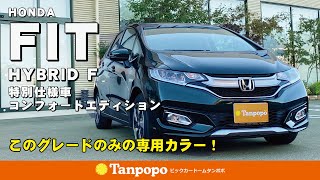 FIT HYBRID F コンフォートエディション【2018年式　バックカメラ　ETC FRロアガーニッシュ】ビックカードームタンポポ （株）川内自動車