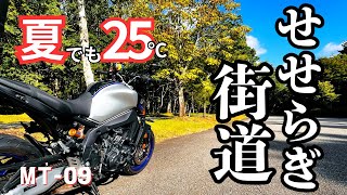 【MT-09】この酷暑の時期だから走りたい岐阜の【せせらぎ街道】夏でもバイクツーリングは楽しい