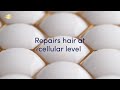 dove hair therapy breakage repair english