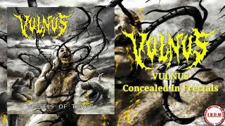 VULNUS - Concealed In Frectals (FULL)