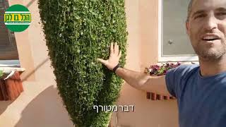 קערות תלויות - יצירת עמודים נשפכים וירוקים