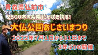 弘前市石川　大仏公園「あじさいまつり」３年ぶりに開催！７月いっぱいやってるよ〜