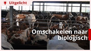 Uitgelicht | Omschakelen naar biologische melkveehouderij: waar moet je op letten?