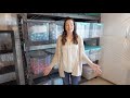 basement organization ideas and organized basement tour