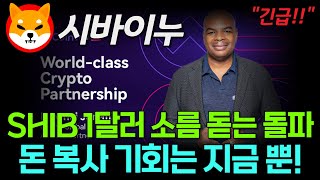 [시바이누코인] 긴급! 다빈치 제레미 소름돋는 돌파예언! \