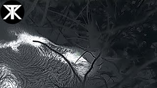 Night Hunting with 1280 Thermal Scope
