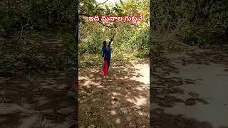 #మాది manala గుట్టనే#shorts#viral shorts#