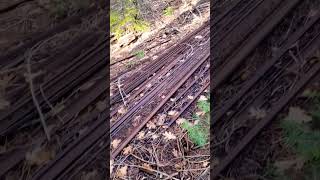 Lots of mining kart track out by this abandoned miners cabin.. #nature  #mineshaft #treasure