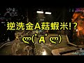 warframe戰甲神兵 代啾布日常 oberon prime瘋、人屌科技、 代賽獎勵