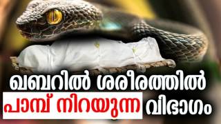 പാമ്പ് ചുറ്റുന്ന വിഭാഗം | LATEST BEST NEW MALAYALAM ISLAMIC SPEECH 2017