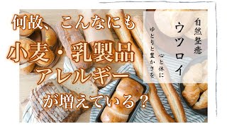 分かれば対処できる！アレルギー体質になってしまうメカニズム