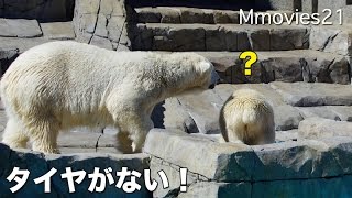 Tire has disappeared ？ あれ？地下鉄のタイヤが消えた？ 立ち上がるリラ