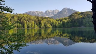 Vils - Jungholz  - Oberjoch - Ruine Falkenstein - Alatsee