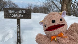 奇妙山・尼巌山＊雪の低山！人には会わずカモシカ君 こんにちは \\(´∀｀*)