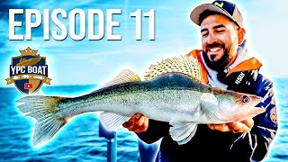 MERKWÜRDIGSTER Fisch der YPC-Geschichte?! | YPC BOAT 2023 Episode 11