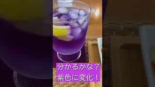 バタフライピーにレモンを入れると、、、！？