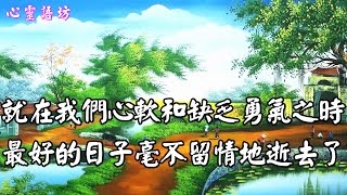 【心靈語坊】凡是路過的都算風景；能佔據記憶的皆是幸福