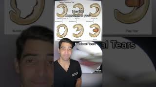 Orthopedic surgeon talks about different types of meniscus tears and how to fix and treat them