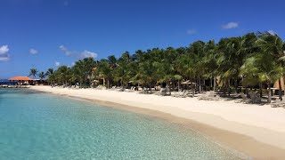 Emmy award winning journalist Tara Hitchcock explores Bonaire Island and Harbour Village