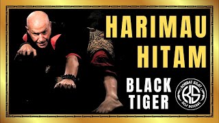 Pencak Silat. Harimau Hitam. Indonesian Martial Arts Self Defence