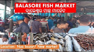 ବାଲେଶ୍ୱର ର ସବୁଠୁ ବଡ଼ ମାଛ ମାର୍କେଟ || Biggest Fish market in Balasore || Balasore Fish Market #jsjl