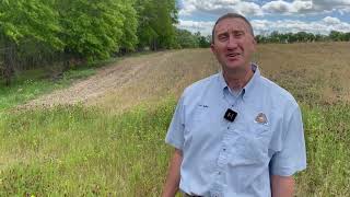 Habitat Hints: Cover Crops