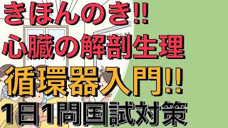 【第110回看護師国家試験】心臓の解剖生理 　1日1問国試対策☆必修☆