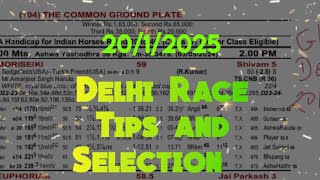 Delhi Race Tips and Selection || The Splash Plate