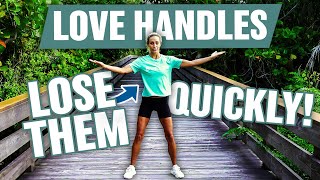 Standing LOVE HANDLES Workout | BURN Fat Easily At Home!