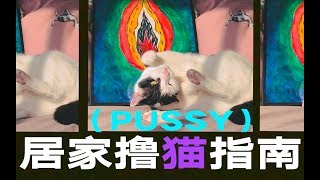 【硬糖视频】每个女生都有[小猫咪]， 我们能撸自己的[小猫咪]吗？ “撸猫对身心健康有害？” “撸得太频繁，猫会坏？” “怎么撸，猫才会舒服？” “可以使用撸猫小工具吗？”