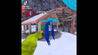 Daisy VS pbbv