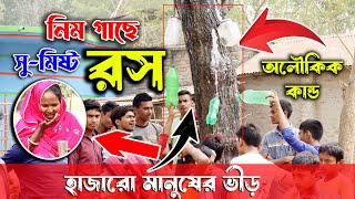 অলৌকিক কান্ড | নিম গাছ থেকে বের হচ্ছে সুমিষ্ট রস | রোগ মুক্তির আশায় বতুল নিয়ে হাজির নারী-পুরুষ