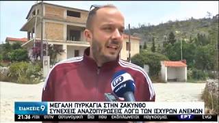 Ζάκυνθος: Άγγιξε τα σπίτια  η τεράστια πυρκαγιά | 06/06/2020 | ΕΡΤ