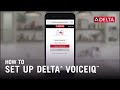 How to Set Up Delta® VoiceIQ® Technology