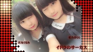 【宮丸くるみ・愛乃きらら】イドラのサーカス【踊ってみた】