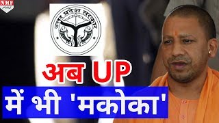 UP में MACOCA की तर्ज पर UPCOCA कानून लाने की तैयारी