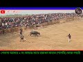 kara larai jharkhand 💥 কমিটি ২ নং কাড়ার সাথে হারাধন মাহাত শালডি বলরামপুর