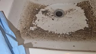 Bathtub and Bathroom Sink Clogged and Cleared