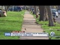 Detroit teens arrested crime spree