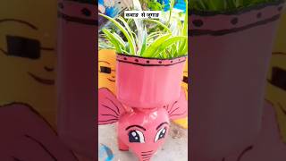 How to propagation 🕷 spider 🪴plant #shortsfeed #subscribe #plants #shorts